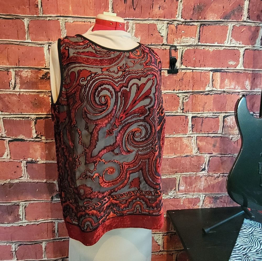 Sheer Burnout Velvet Top